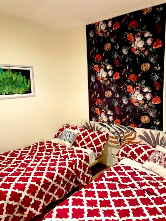 Bed and Breakfast Sol Montera & Parking Tph Madrid Exteriér fotografie